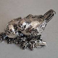 Coppia uccellini su ramo