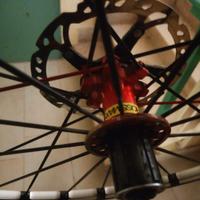 cerchio Mavic crossmax slr 26"