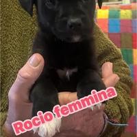 Due sorelline due mesi taglia medio piccola