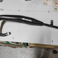 Marmitta Lanfranco i per cimatti Kaiman