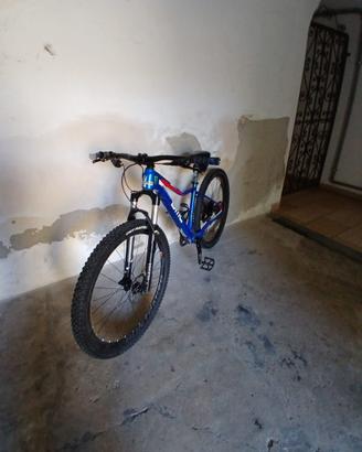 BMC in carbonio