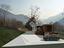 Immagine 6