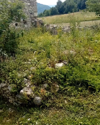 Terreno agricolo fabbricabile