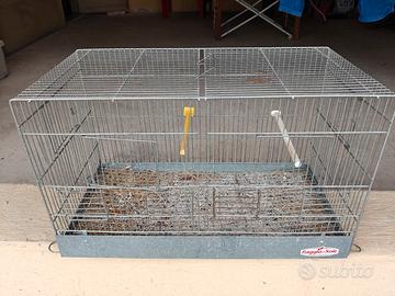 Batteria per piccoli volatili