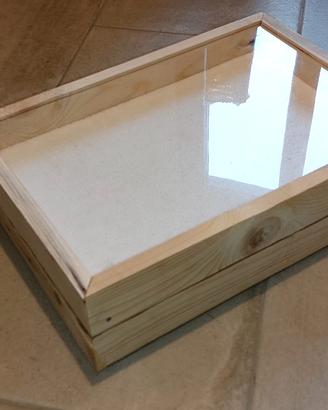 Scatola entomologica, cassetta per insetti spillat