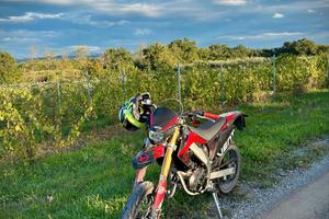 Vent Derapage 50 -09/2022 -Solo 8.840 km 