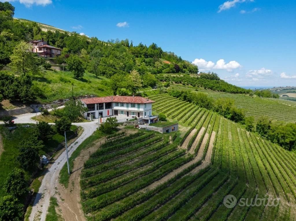 Rustico / Casale di 239 m² con più di 5 locali e b - Vista 5