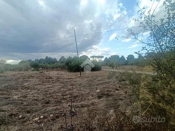 TER. AGRICOLO A MOLA DI BARI