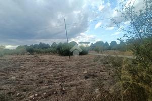 TER. AGRICOLO A MOLA DI BARI