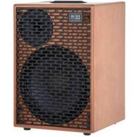 amplificatore chitarra acustica/classica e voce