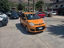 fiat-panda-1-2-easy-69-cv-2021-perfetta