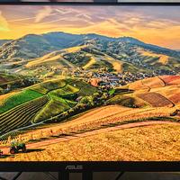 ASUS VA24DQLB 24" (23.8") Monitor, FHD (1920x1080)