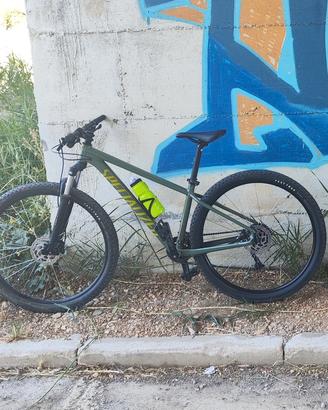 Specialized Rockhopper 29