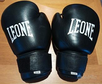 guantoni da box - kick boxing