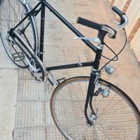 bici regina uomo