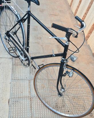 bici regina uomo