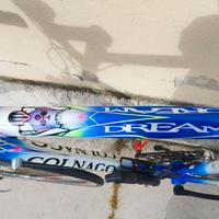 Colnago dream Art decor campagnolo