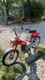 Garelli
