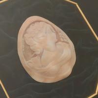 Cammeo vintage con profilo di donna su velluto ver