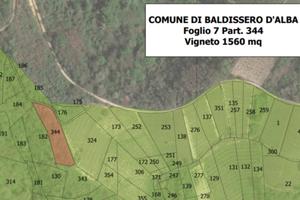 Terratetto con vigneto