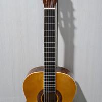 Chitarra Eko