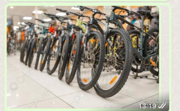 Negozio di biciclette e attrezzature sportive usato  Barletta-Andria-Trani