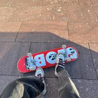 skateboard globe