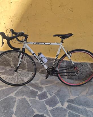 bici focus 