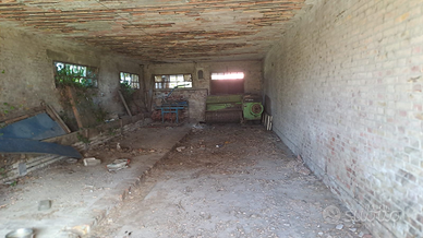 Rustico con terreno