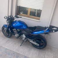 Honda hornet