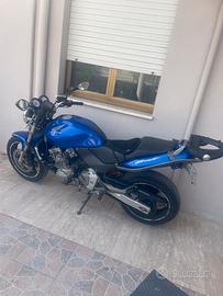 Honda hornet