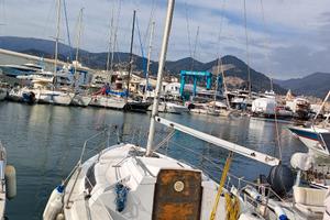 ALTURA 701 (gemella edel 6)