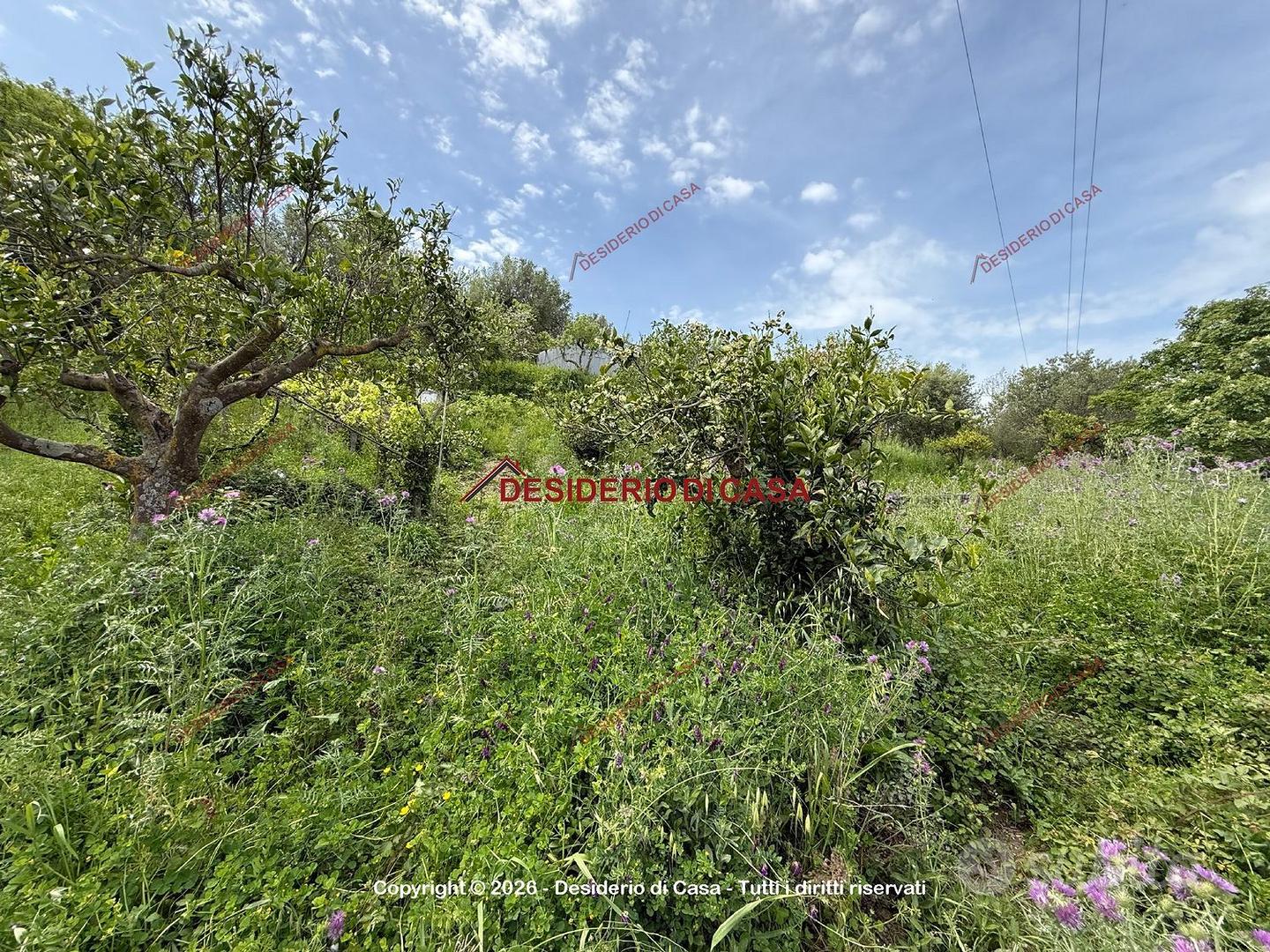 Terreno, Cefalù. - Vista 4
