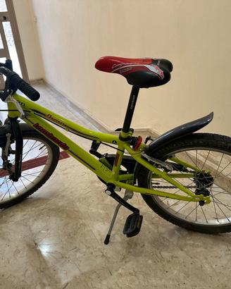 Mountain bike lombardo Brera 20