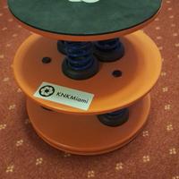 Pedana per Equilibrio per ginnaste e ballerini