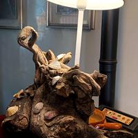 lampada  natura 
