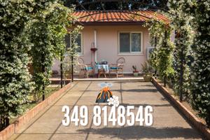 Il gelsomineto dell'etna