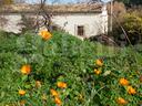 villa-singola-ragusa-cod-rif-3206590vrg-