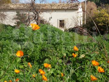 Villa singola Ragusa [Cod. rif 3206590VRG]