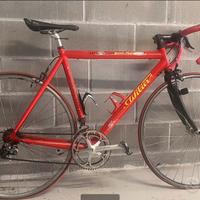 BDC tg.M Wilier Triestina