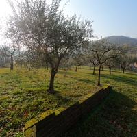 Terreno agricolo + garage