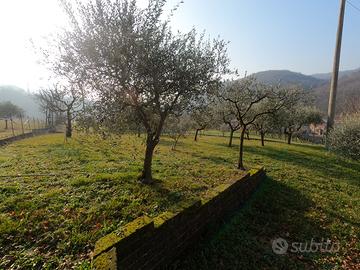 Terreno agricolo + garage