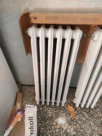 Termosifone in ghisa