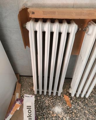 Termosifone in ghisa