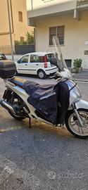 Sh 125 2013
