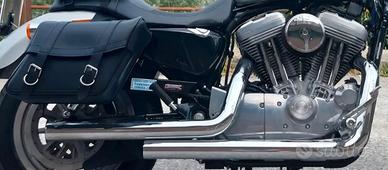 Borse filtro scarichi sissy bar 883