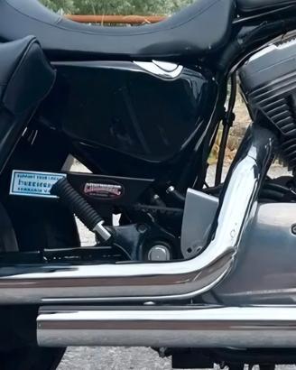 Borse filtro scarichi sissy bar 883