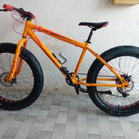 Fat Bike
