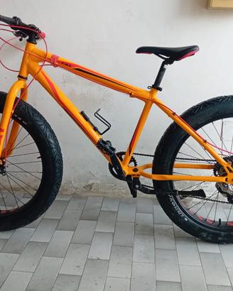 Fat Bike