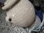 Immagine 1